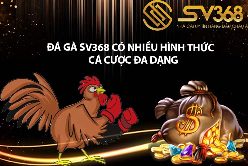 đá gà sv368