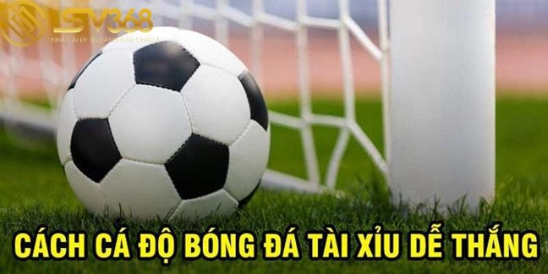 kinh-nghiem-khi-soi-keo-tai-xiu-trong-bong-da-tai-sv368