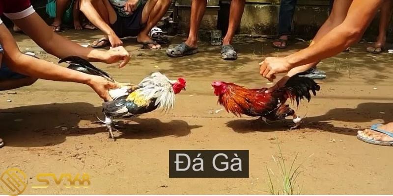 mot-so-dieu-can-luu-y-khi-len-cua-ga-tai-sv368