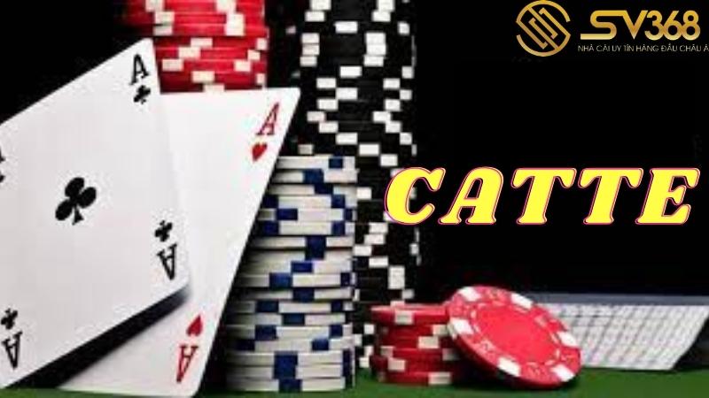 cac-loai-bai-o-viet-nam