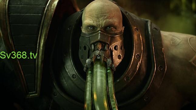 Nửa tanker nửa sát thương là lối build thường được dùng