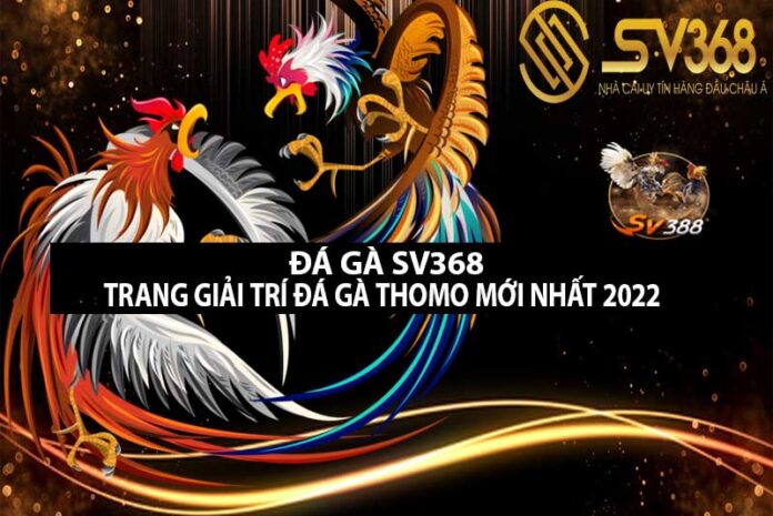 đá gà sv368