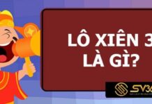 Xiên 3 ăn bao nhiêu? Bật mí kinh nghiệm chơi xiên 3 hay như cao thủ Sv368 xiên 3 ăn bao nhiêu